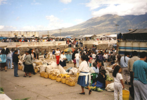 Ibarra Markt