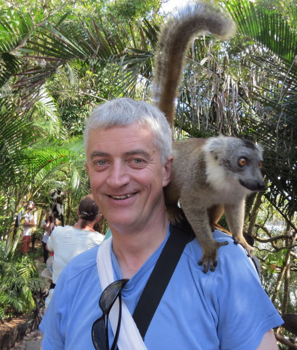 Lemur auf Schulter