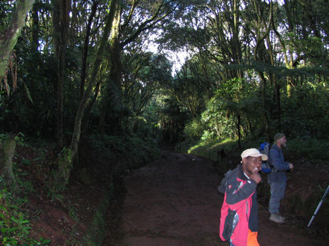 zum Mweka-Gate