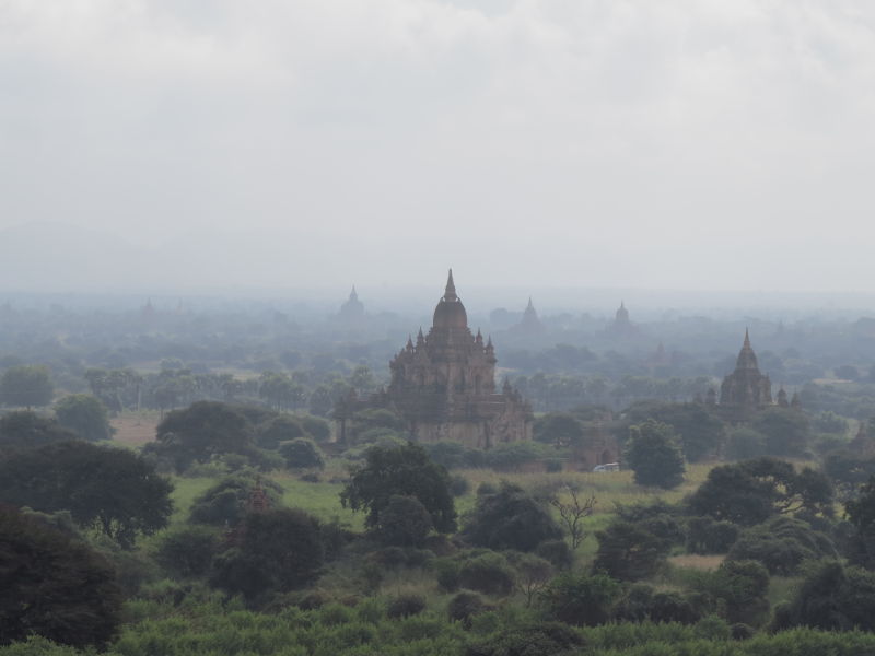 Stupa-Feld in Bagan