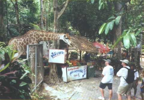 Zoo Chiang Mai